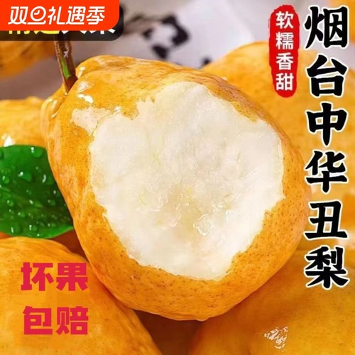 正宗莱阳中华丑梨新鲜水果当季采摘新鲜啤梨丑梨润喉丑梨特产整箱