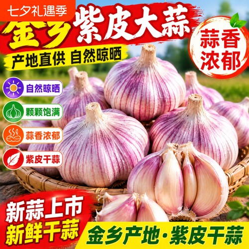 特大干蒜金乡大蒜精选特大果山东皮批发新鲜大蒜头当季自种自提