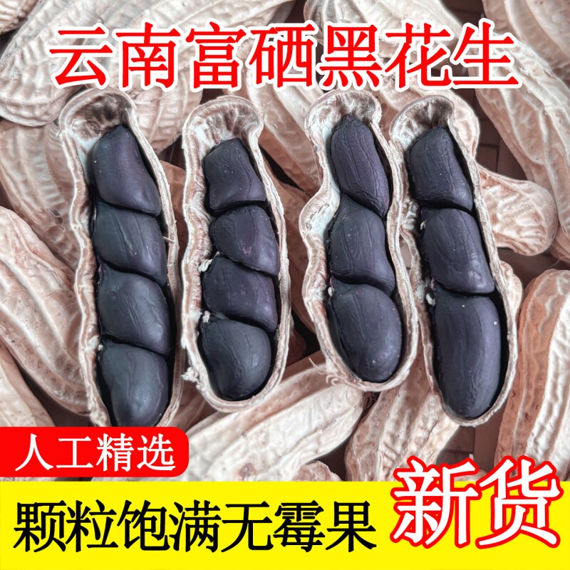 富硒黑花生带壳黑花生2025新货云南普洱特产晒干生熟黑皮花生米