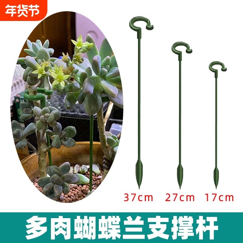 多肉支撑架吊兰多肉支撑杆固定蝴蝶兰花架支撑杆盆栽防倒伏造型,鲜花速递/花卉仿真/绿植园艺,花架,淘宝优惠券,粉丝福利购,淘宝优惠卷