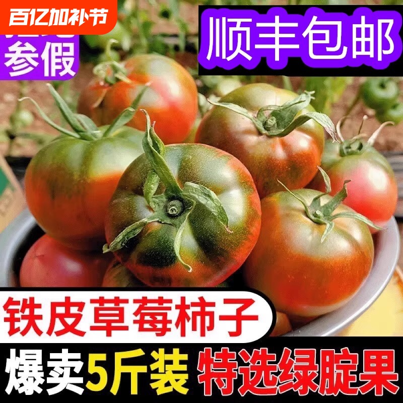丹东正宗铁皮草莓柿子番茄5斤装特选新鲜多汁现摘顺丰包邮