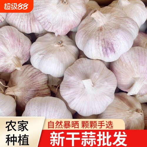 2026年精选新干蒜紫白皮大蒜头干蒜山东金乡大蒜农家自种批发