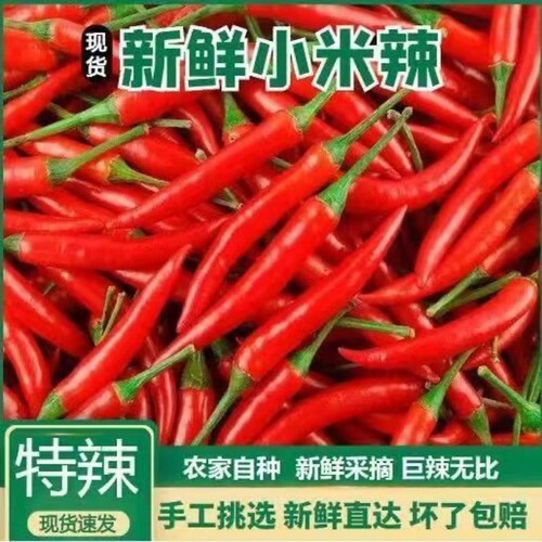 云南农家自种新鲜小米辣包邮到家