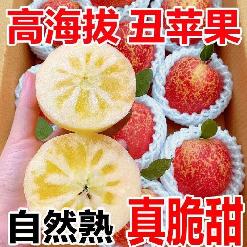 冰糖心丑苹果红富士苹果脆甜整箱新鲜当季水果大果冰糖心产地直发