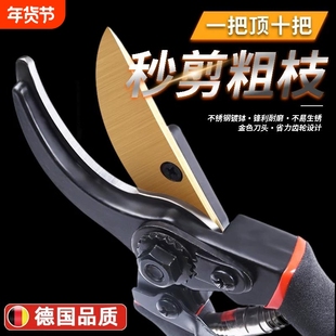 德国精工修剪树枝专用剪刀花木剪修枝剪刀果树木剪子园艺园林家用