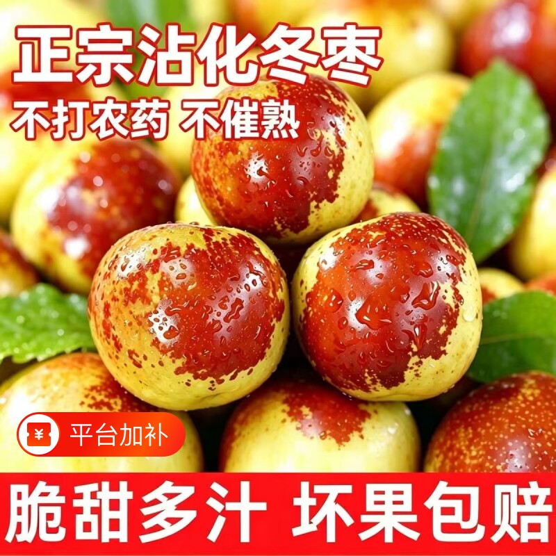 时令农家自产现摘现发正宗山东沾化冬枣新鲜水果整箱品包邮保存