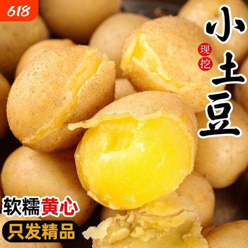 黄皮小土豆现挖新鲜黄心土豆