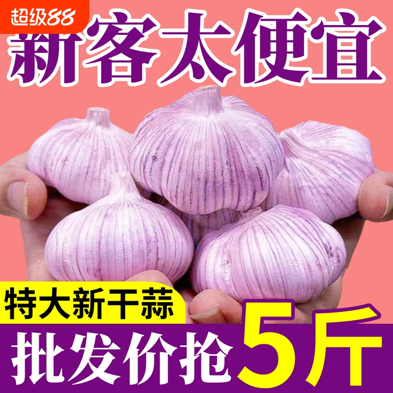 【新干蒜】山东紫皮大蒜头批发价新鲜大蒜新干蒜头农家自种包邮