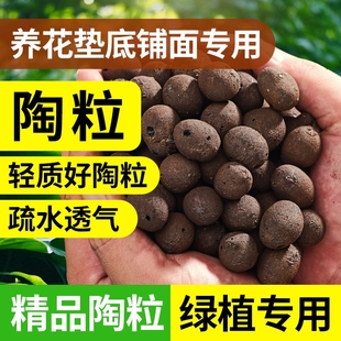 陶粒垫底多肉养花盆栽专用彩色透气铺面石回填火山石颗粒水培底部