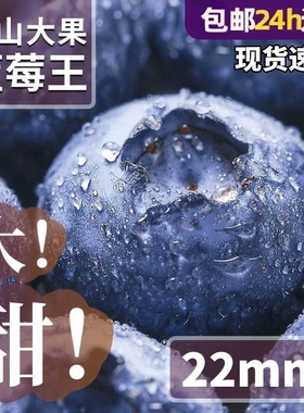 云南蓝莓新鲜水果特大当季高山L25花香孕妇怡颗蓝梅整箱超大现摘