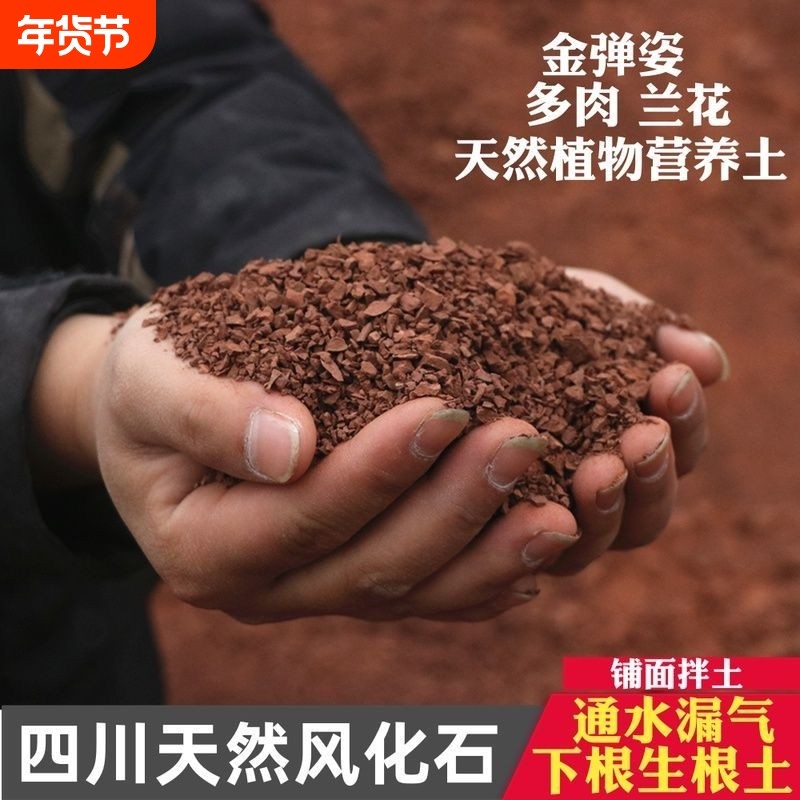 纯天然酸性风化土小叶簕竹金弹子老鸦柿景观盆栽专用透气沥水