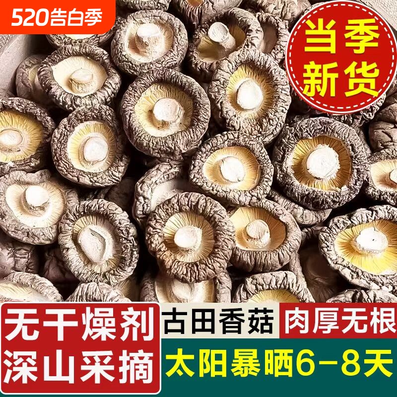 古田香菇干货500g净重特级农家精选煲汤肉厚无根干蘑菇菌菇冬菇