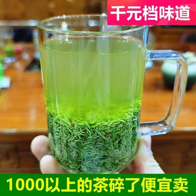 2026新茶叶信阳毛尖特级碎茶明前高山嫩芽茶末散装浓香口粮茶500g
