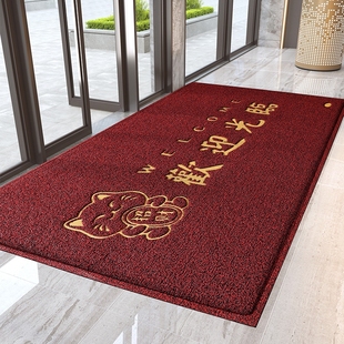 欢迎光临进门丝圈地垫商铺迎宾门垫酒店门口脚垫商用除尘防滑地毯