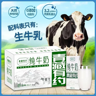 纯牛奶200ml学生奶|超3000次加购