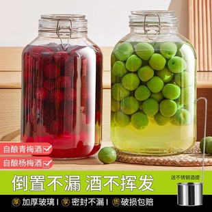 泡酒玻璃瓶专用空瓶青梅10斤酒坛酒罐容器食品级密封罐酿酒杨梅酒