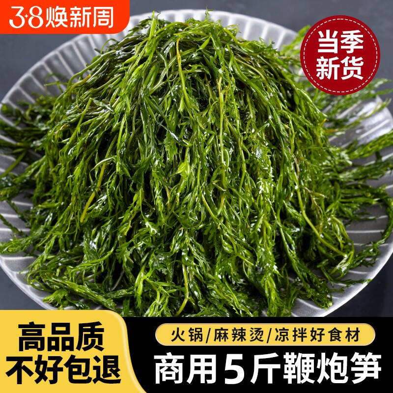 炮鞭炮笋长寿菜半干货海藻菜马尾藻海草鞭炮菜火锅食材羊栖菜凉拌