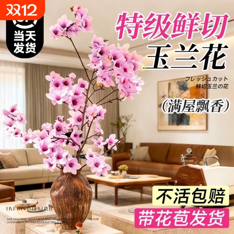 白玉兰花水培干枝鲜切带花苞鲜枝室内办公室植物四季绿植好养花卉