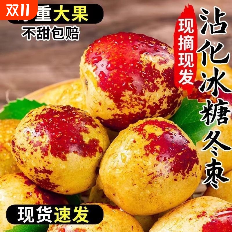 正宗沾化冬枣新鲜现摘沾化当季山东特产大果脆甜冬枣3斤整箱包邮