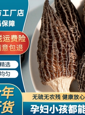 云南头茬羊肚菌干货特级野生500g菌菇煲汤食材旗舰店云南菌子礼盒