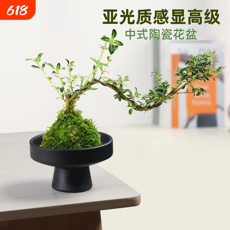 苔藓球托盘花盆陶瓷盆中式桌面摆件水培米竹菖蒲盆托盆景绿植月牙