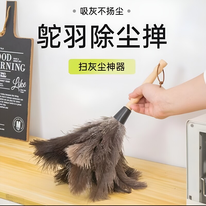 鸵鸟毛静电除尘掸|超5000次加购图片