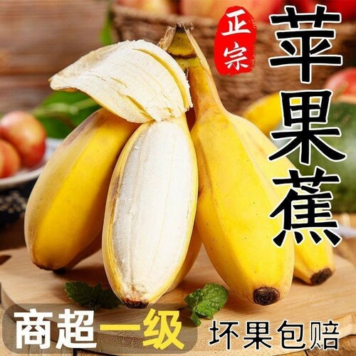 正宗广西苹果蕉香甜香蕉现摘现发芭蕉新鲜水果当季整箱不打催熟剂
