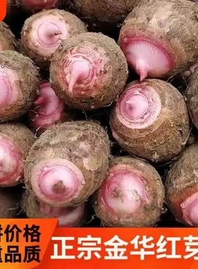 浙江金华新鲜红芽芋艿现挖毛芋小芋头芋子农家蔬菜5/3斤香芋软糯