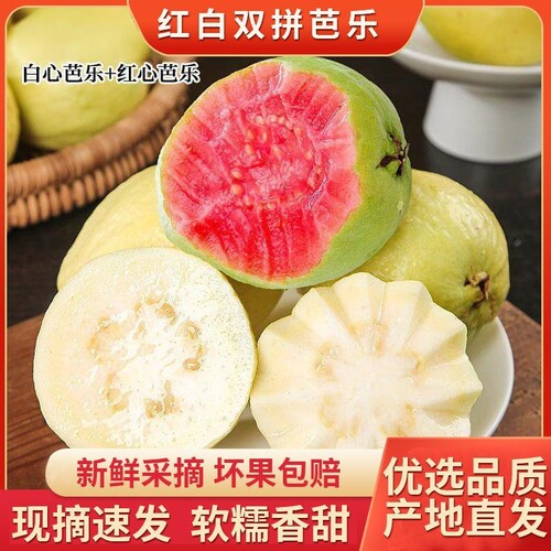 福建漳州芭乐软番石榴组合果园直供应季新鲜现摘孕妇水果清甜香甜