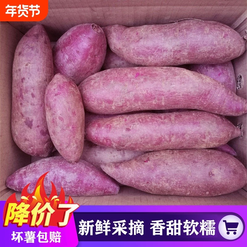 湖北紫薯红薯新鲜农家自种紫罗兰番薯地瓜蜜薯山芋香薯蔬菜沙地