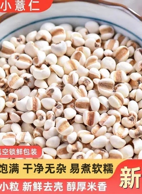 正宗贵州纯小薏仁米新货农家新鲜生小意米粒苡仁五谷杂粮小薏米仁