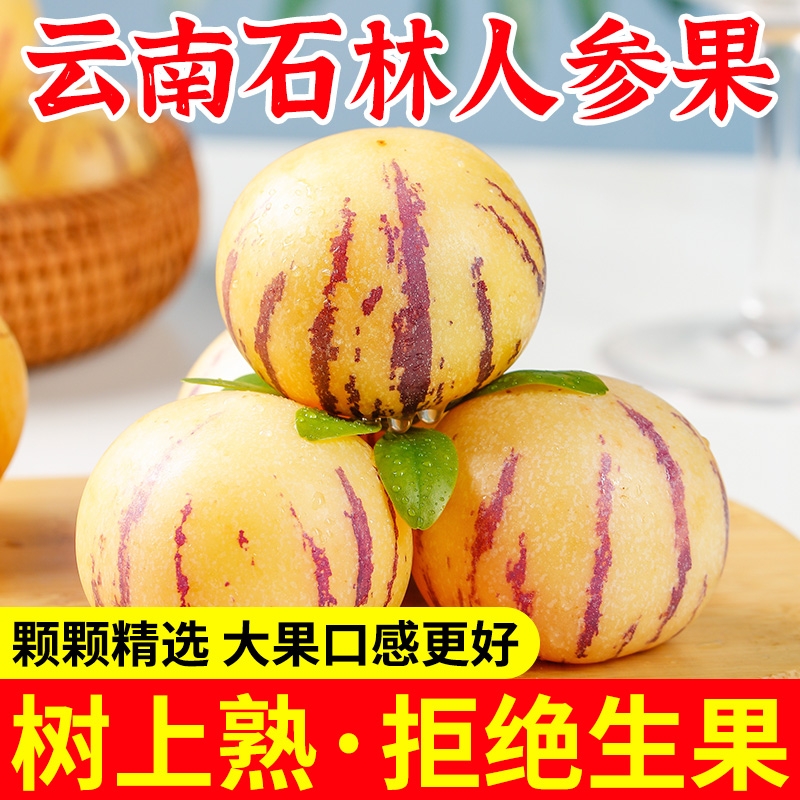 云南人参果水果圆果黄肉大果新鲜石林果树上熟人生果整箱包邮现摘