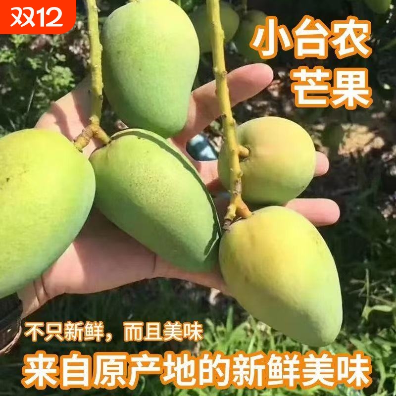 正宗海南小台农芒果5/9斤整箱当季新鲜水果特产现摘芒果批发包邮
