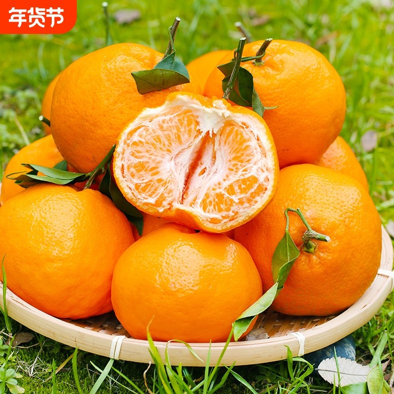 正宗四川春见耙耙柑新鲜水果当季整箱丑八怪橘子特级粑粑柑桔丑橘,水产肉类/新鲜蔬果/熟食,桔子,淘宝优惠券,粉丝福利购,淘宝优惠卷
