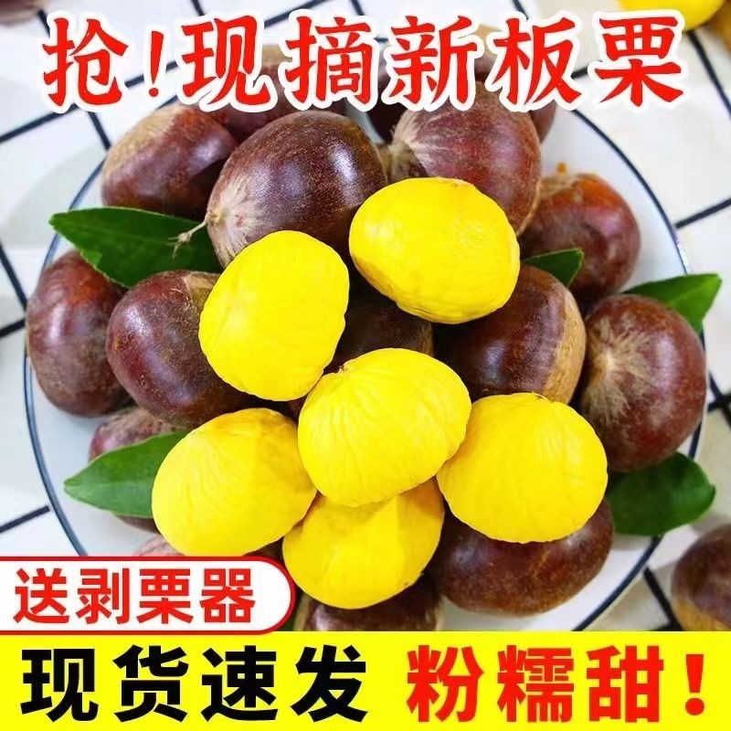 【香甜】2025新鲜丹东生板栗当季板栗生栗子新下树油野栗大板栗仁