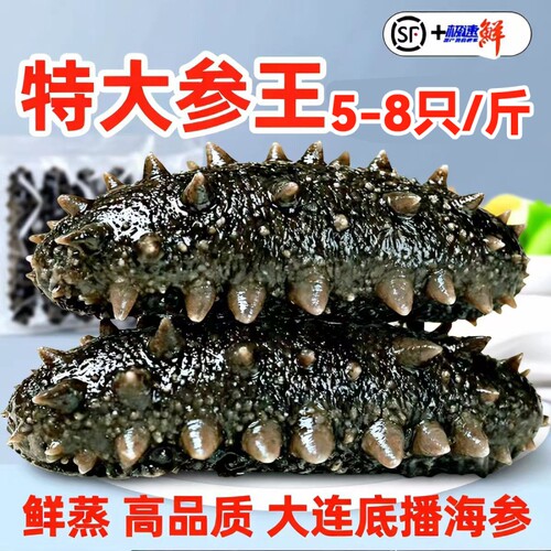 鲜蒸即食海参大连地标认证海生辽参刺参特价装非干货水产冷冻滋补