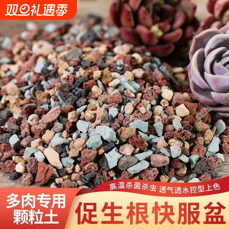 多肉专用颗粒土纯颗粒土多肉土营养土彩虹石养花小石子通用型肉肉