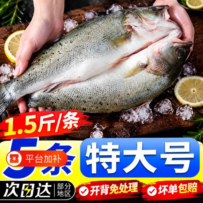 鲜活海鲈鱼开背新货鲜冻冷冻清蒸鲈鱼烤鱼半成品商用去内脏整条