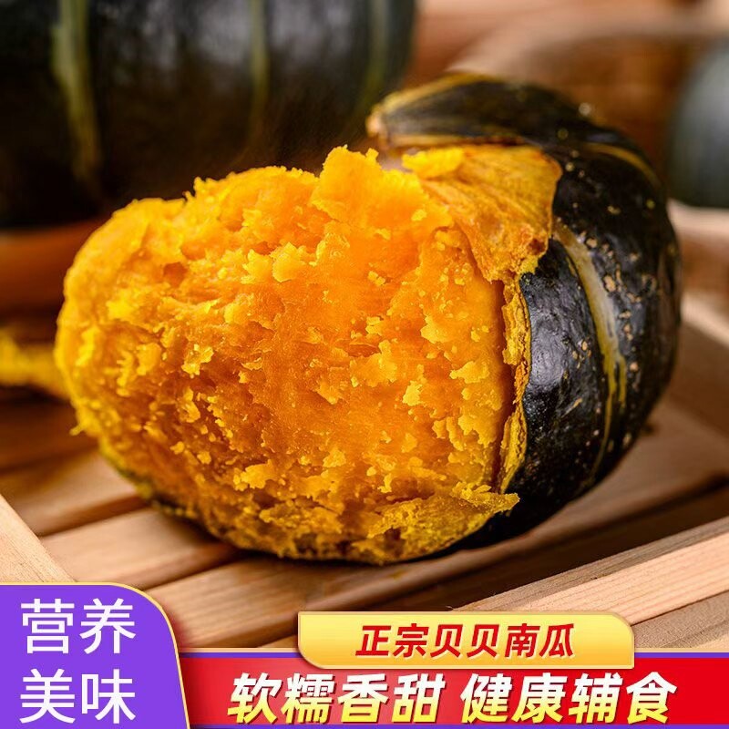 真贝贝南瓜正宗板栗味婴儿山东新鲜板栗小南瓜宝宝迷你栗子