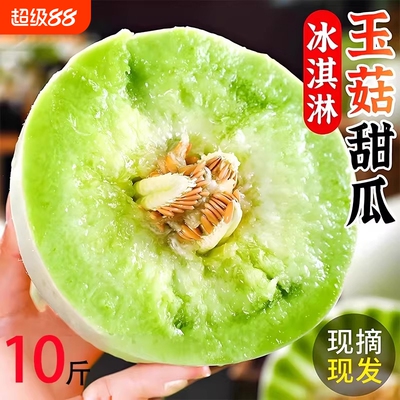 现摘玉菇甜瓜头茬冰淇淋甜瓜9斤正宗玉菇蜜瓜新鲜当季水果小香瓜
