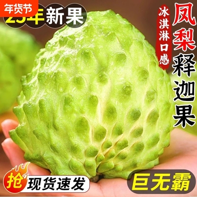 5斤礼盒装凤梨释迦果新鲜现摘当季番荔枝大果水果大目林檎摩尼甜