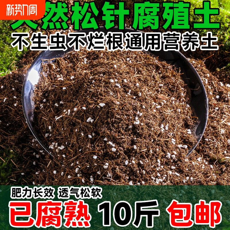 松针腐殖土天然腐叶腐熟纯君子兰花多肉泥炭营养土养花通用专用土