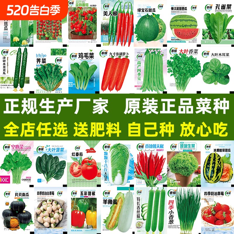 蔬菜种子番茄子辣椒长豇豆角四季豆生菜籽大全丝瓜阳台西瓜种植
