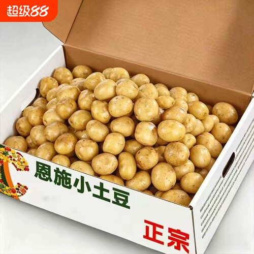 现挖恩施小土豆新鲜洋芋