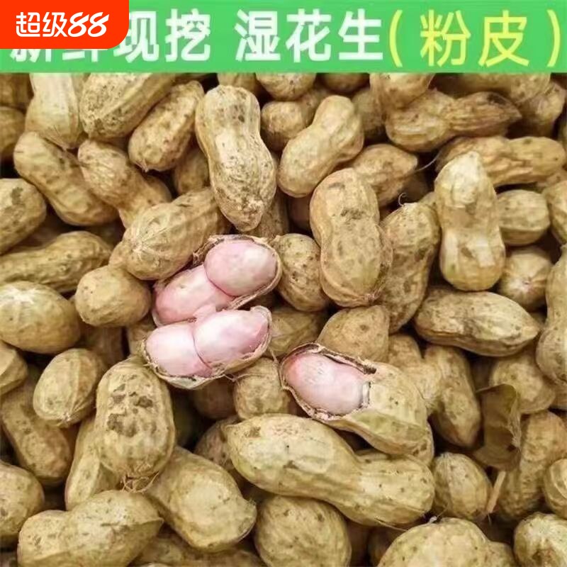 正宗新鲜湿花生带壳花生现挖现发当季新货粉皮花生农家自种旗舰店