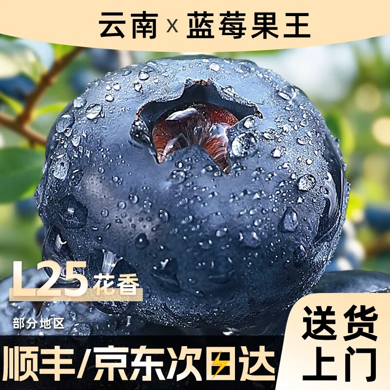 正宗云南蓝莓花香新鲜水果应季当季蓝梅鲜果现摘高山孕妇大果整箱