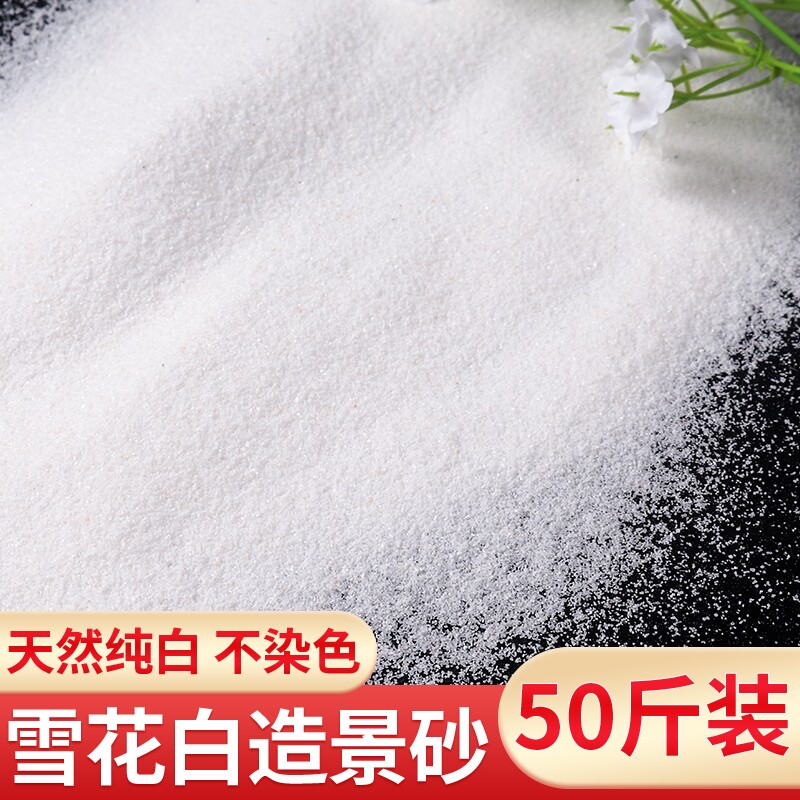 白沙子造景纯白石英砂鱼缸底砂枯山水细沙酒店烟灰缸垃圾桶游乐场