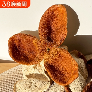 【醇香回甘】2025年新会梅江圈枝1年大红皮500克新皮柑皮陈皮干