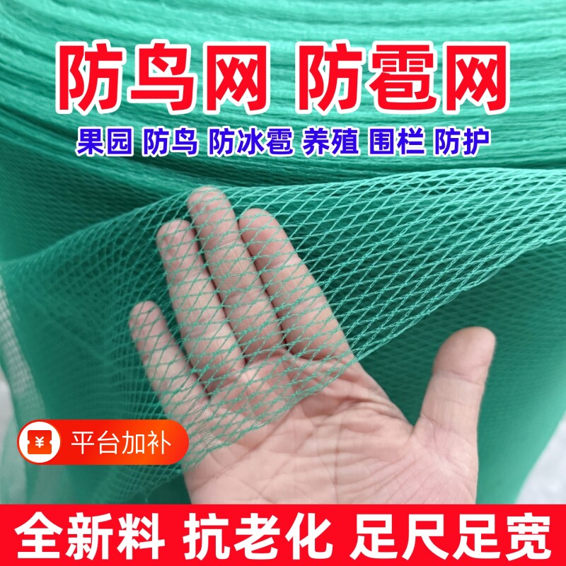 防鸟网防鸟罩果树果园防护网防鸟网罩网尼龙养鸡围栏专用围网小鸟
