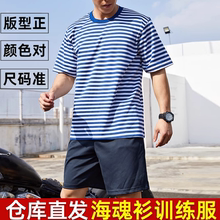海魂衫短袖男夏季体能训练服透气速干作训服蓝白条纹上衣T恤